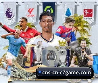 c7娱乐 APP